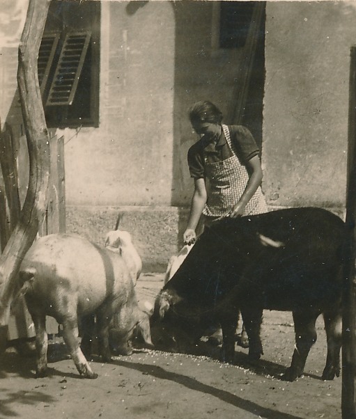 eika image